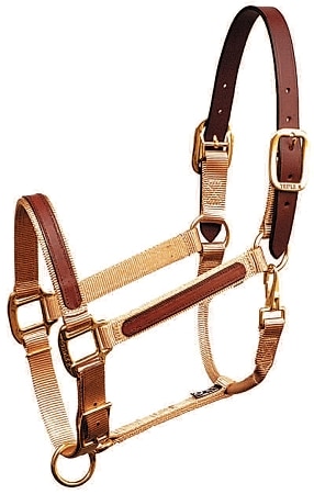 1 Leather Overlay Adjustable Nylon Halter with Leather Crown, Bronze  Hardware