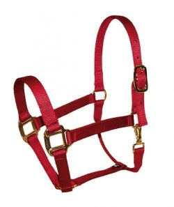 CHALLENGER Horse Western Saddle Premium Latigo Off Billet & Tie Strap Set  404AX03