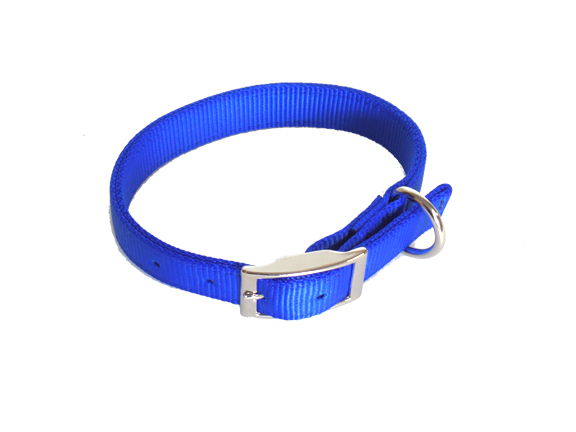 Dog leashes - Premium accessories for your dog